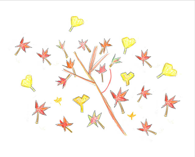 11月