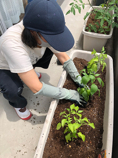 座って、プランターに植えた植物の手入れをする人
