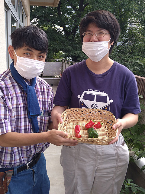 座って、プランターに植えた植物の手入れをする人
