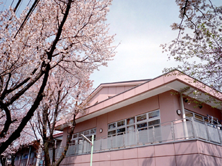 はばたけの建物と桜